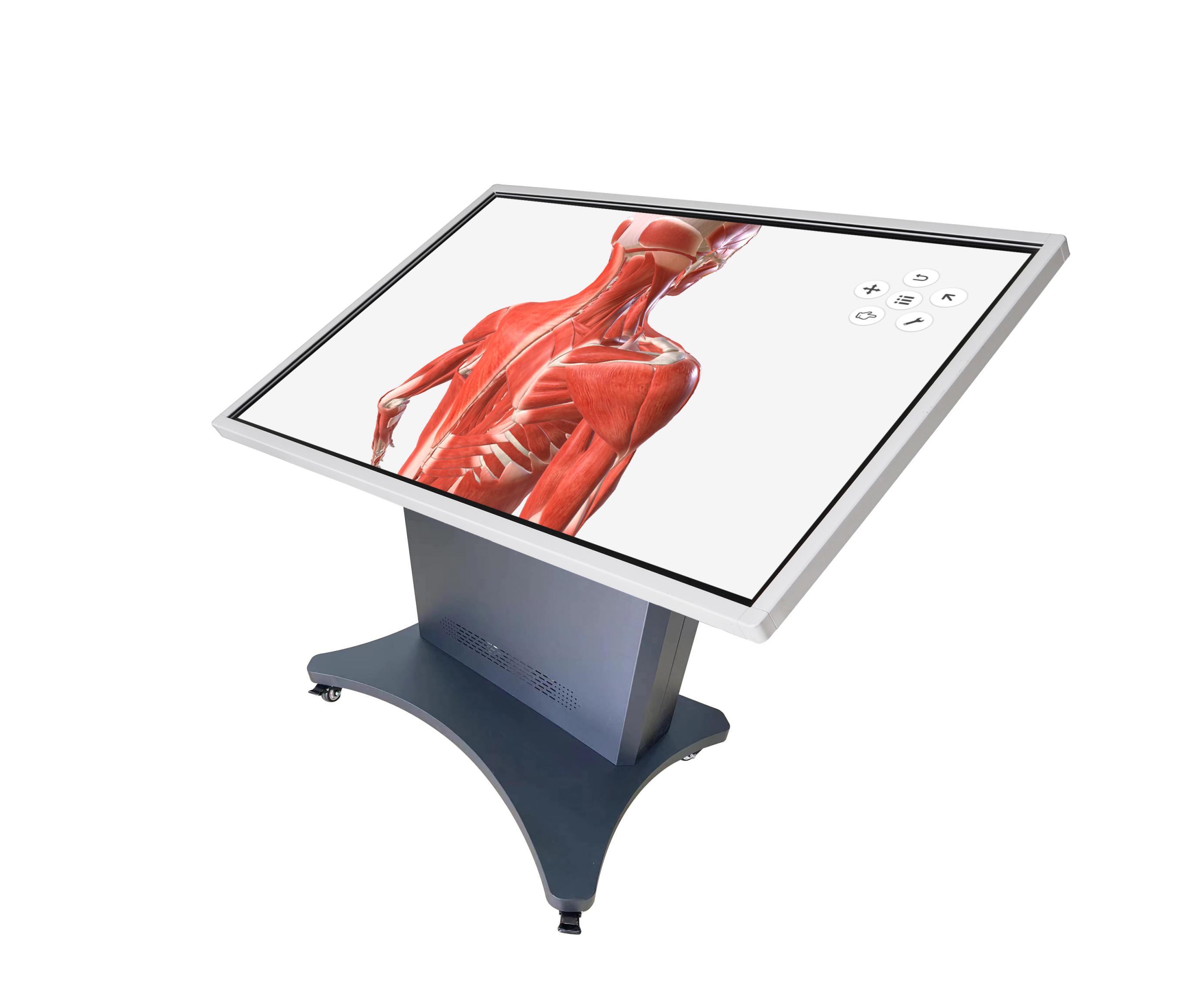 安徽多點觸控解剖與手術規劃訓練系統，多點觸控虛擬解剖訓練系統