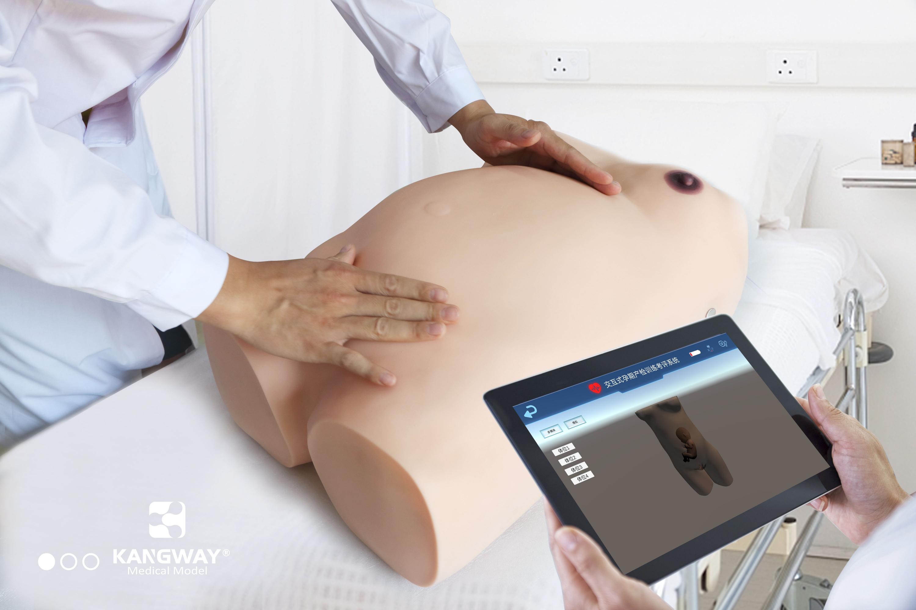 宿州胎心監護模擬培訓系統,胎心監護技術虛擬仿真解決方案,婦產科護理虛擬仿真教學軟件