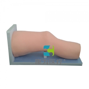 “康為醫療”高級電子膝關節腔內注射模型