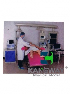 “康為醫療”產婦-高仿真標準化病人實訓系統 V1.0