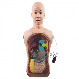 “康為醫療” 高級鼻胃管與氣管護理模型
