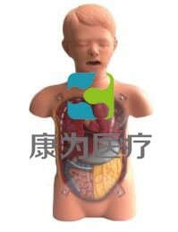 兒童透明洗胃訓練模型,兒童洗胃操作模型,小兒透明洗胃模型